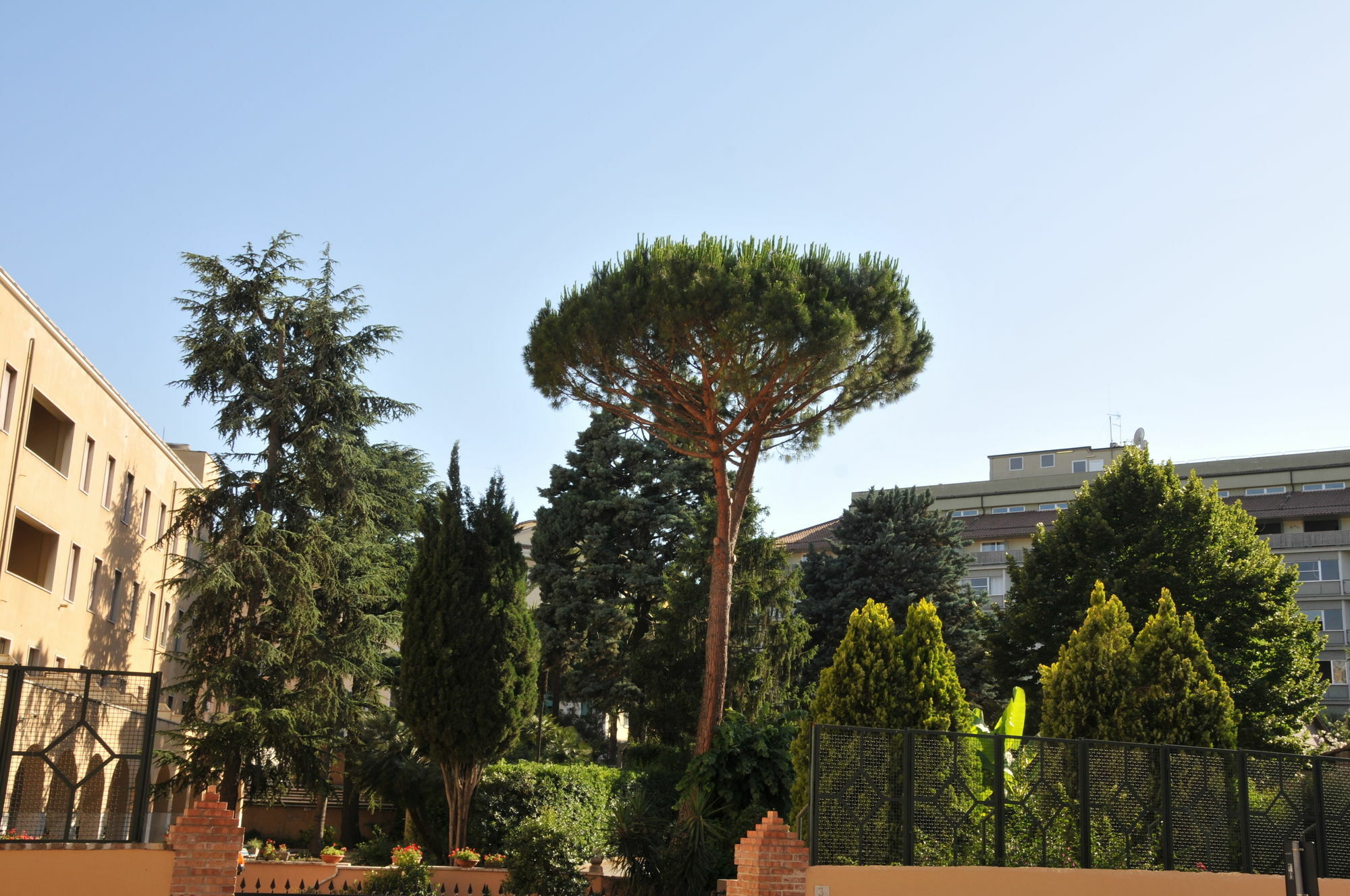 Alessandro III Rome Luaran gambar